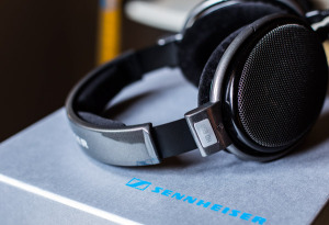 Sennneiser HD650 Reference Class Headphones